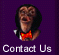 Contact Us For More Information and Bookings